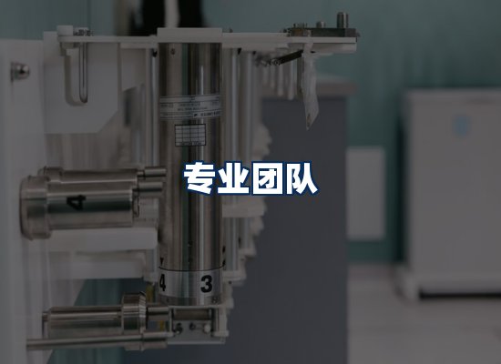 专业团队